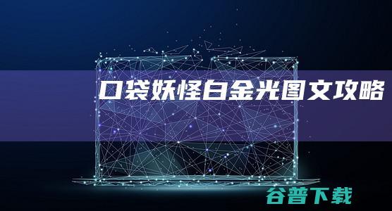 口袋妖怪白金光图文攻略