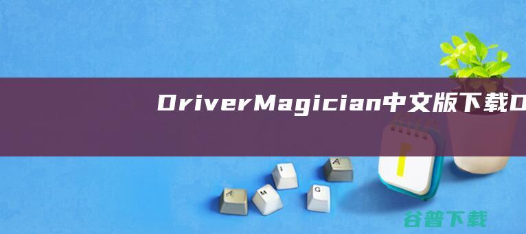 DriverMagician中文版Dr