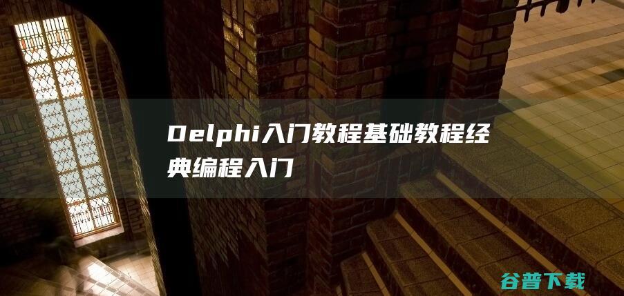 Delphi基础经典编程