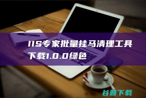 IIS专家批量挂马清理工具1.0.0绿色