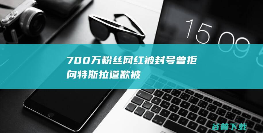 700万粉丝网红被封号曾拒向特斯拉道歉被