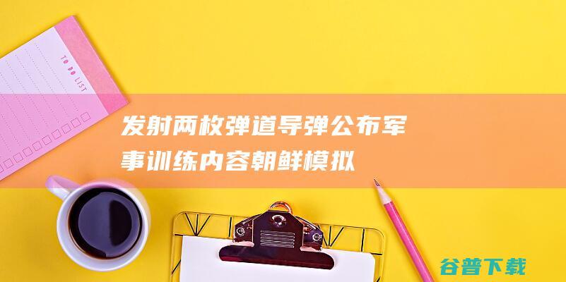 发射两枚弹道导弹，公布军事训练内容，朝鲜模拟战术核打击回应美韩|美军|人民军|武器装备