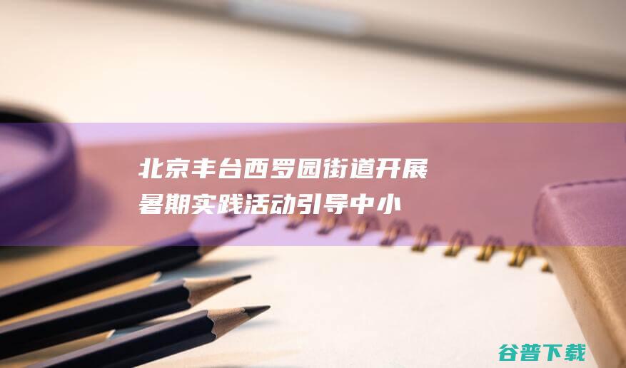 北京丰台西罗园街道开展暑期实践活动，引导中小学生学习文明知识