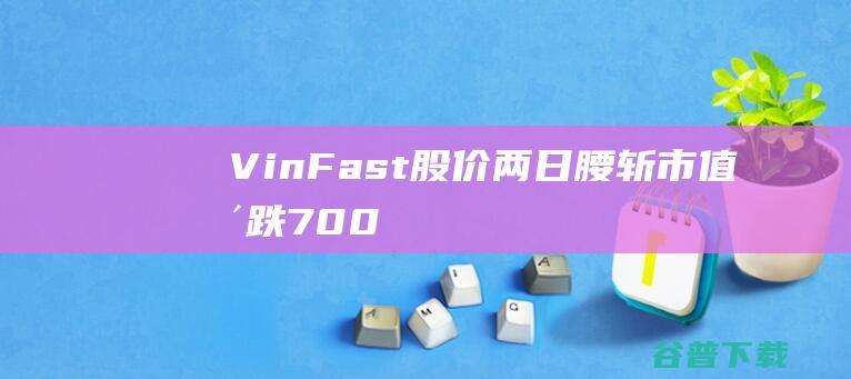 VinFast股价两日腰斩市值暴跌700