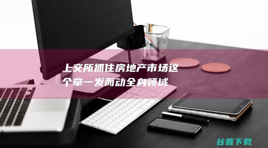 上交所：抓住房地产市场这个牵一发而动全身领域，坚决落实好各项政策措施|融资|债券市场|上海证券交易所