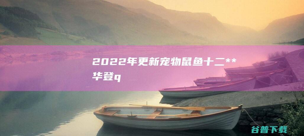 2022年更新宠物鼠鱼十二**华登q