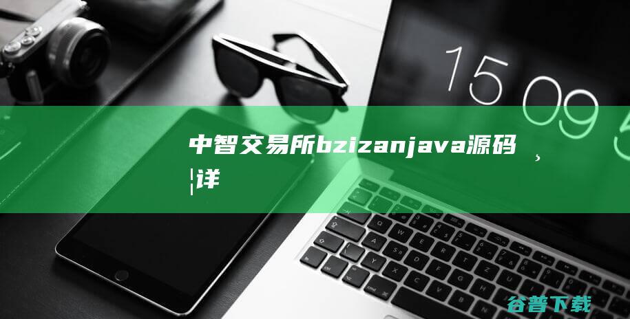 中智交易所/bzizan/java源码/带详细说明/币严教程