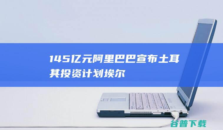 145亿元，阿里巴巴宣布土耳其投资计划|埃尔多安|埃文斯