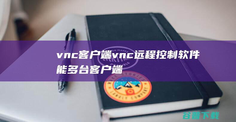 vnc客户端，vnc远程控制软件能多台客户端同时访问一台服务器吗如能怎样设置