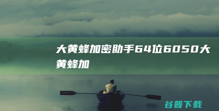 大黄蜂加密助手64位6050大黄蜂加