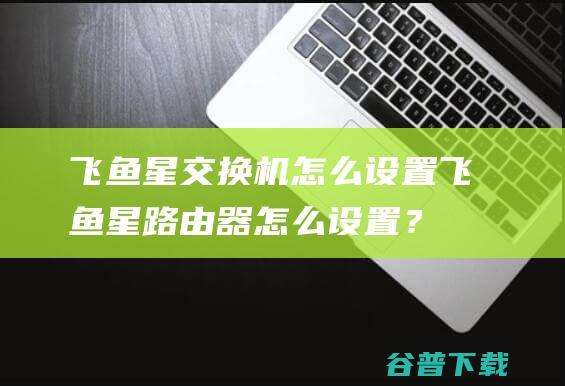 飞鱼星交换机怎么设置飞鱼星路由器怎么设置？