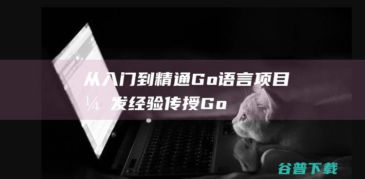 从入门到精通Go语言项目开发经验传授Go