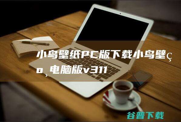 小鸟壁纸PC版下载-小鸟壁纸电脑版v3.1123.2125.906官方免费版