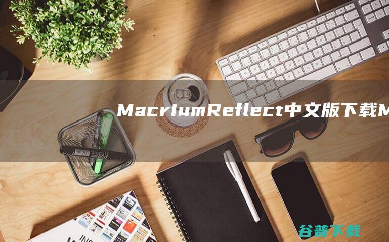 MacriumReflect中文版Ma