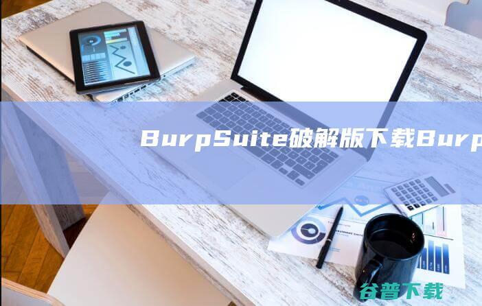 BurpSuite破解版下载BurpSui