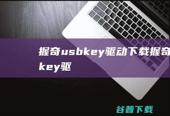 握奇usbkey驱动下载-握奇usbkey驱动v1.0官方最新版