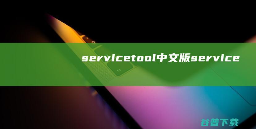 servicetool中文版service