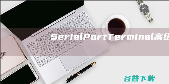 SerialPortTerminal高级串