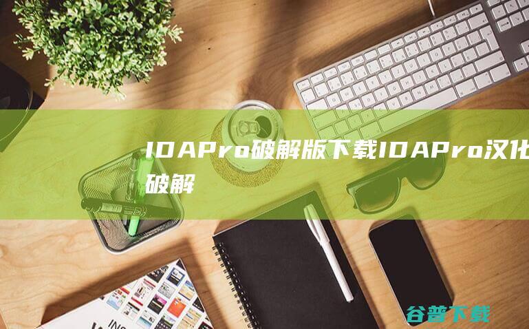 IDAPro破解版下载-IDAPro汉化破解版v8.3免费版