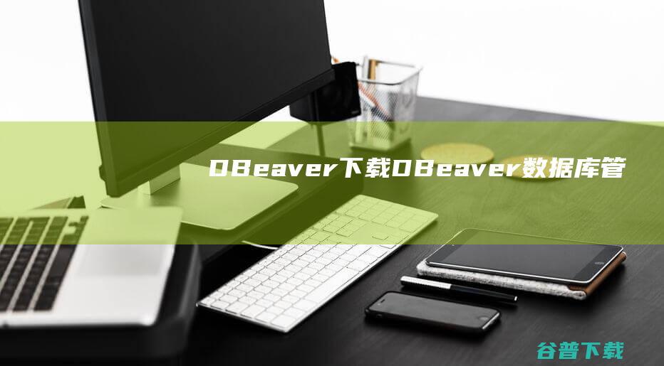 DBeaverDBeaver库管