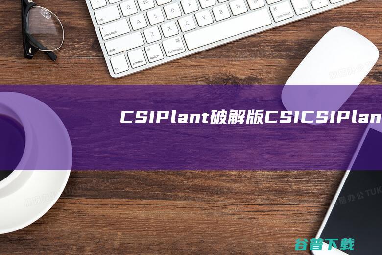 CSiPlant破解版CSICSiPlan