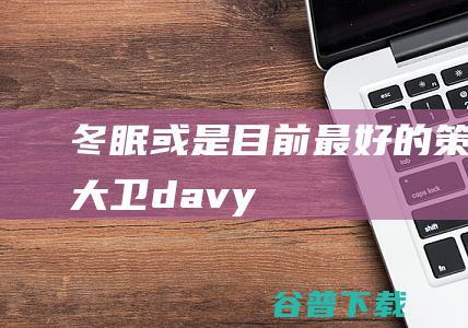 冬眠或是目前最好的策略大卫davy