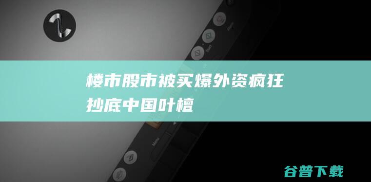 楼市股市被买爆！外资疯狂抄底中国！_叶檀