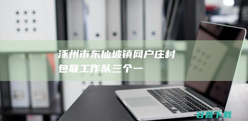 涿州市东仙坡镇网户庄村：包联工作队“三个一”工作法定点帮扶暖民心