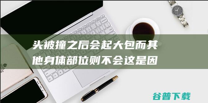 头被撞之后会起大包而其他身体部位则不会这是因为蚂蚁庄园2022年3月24日答案