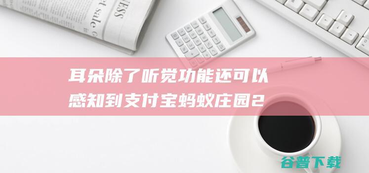 耳朵除了听觉功能还可以感知到支付宝蚂蚁庄园2