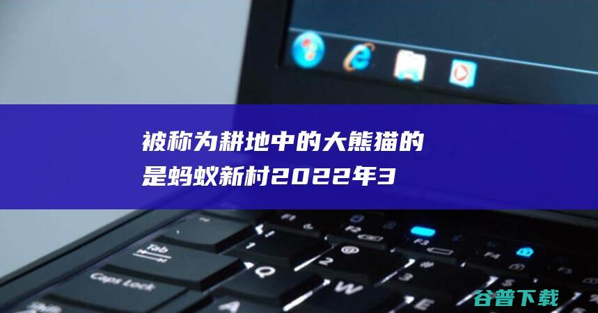 被称为耕地中的大熊猫的是蚂蚁新村2022年3月14日答案