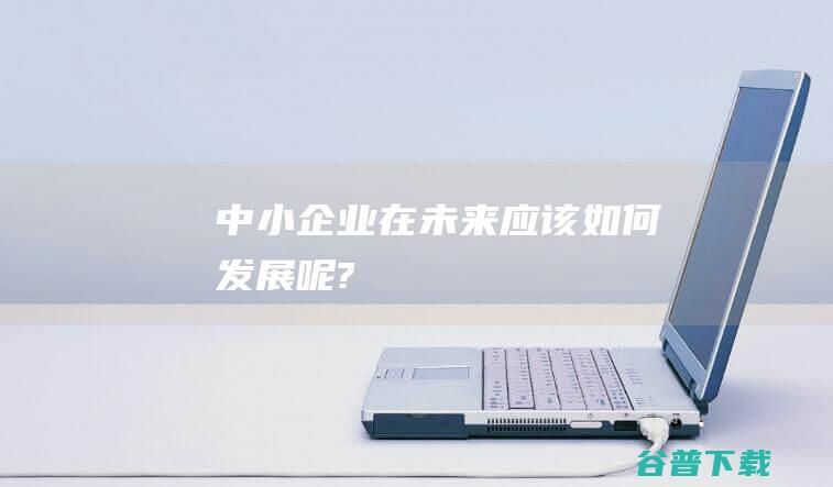 中小企业在应该如何发展呢?