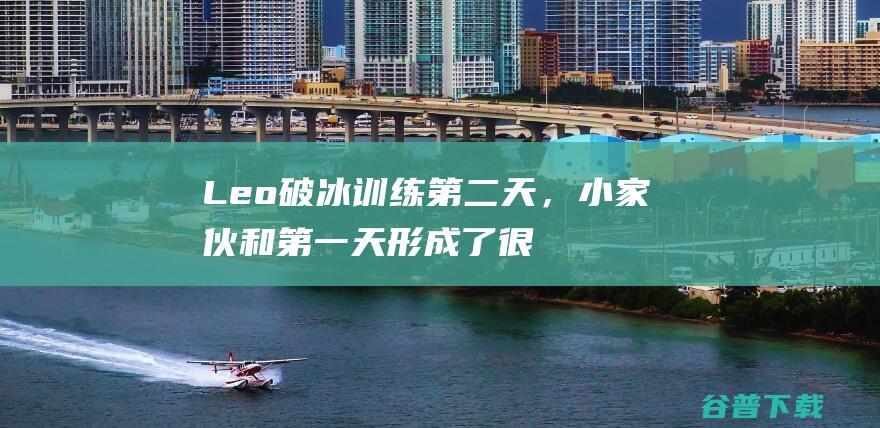 Leo破冰训练第二天，小家伙和第一天形成了很大的反差，像是换了一个人_老詹的高尔夫生活