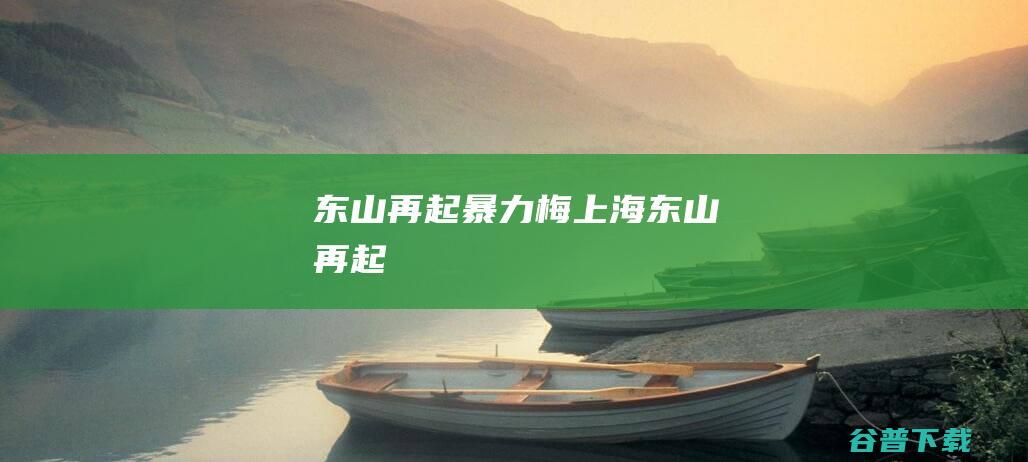 东山再起暴力梅上海东山再起