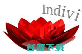 individual是什么意思 (individual)