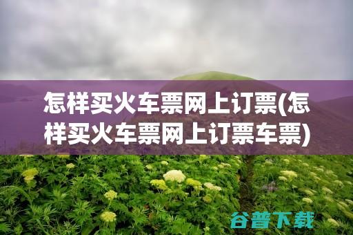 怎样网上订票