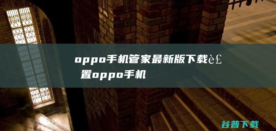 oppo手机管家最新版下载装置 (oppo手机锁屏密码忘了怎么解锁)