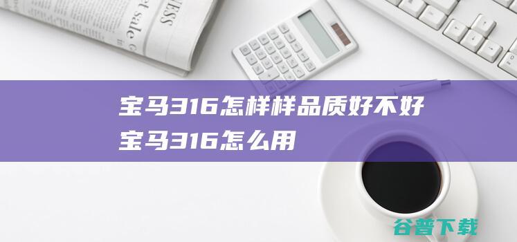 宝马316怎样样 品质好不好 (宝马316怎么用u盘播放音乐)