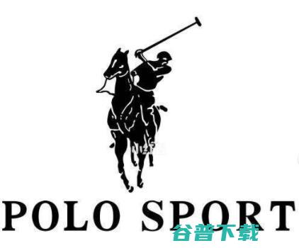 Polo有什么不同 Polo GTI与New (polo有什么牌子)