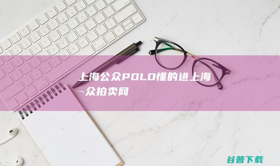 上海公众POLO 懂的进 (上海公众拍卖网)