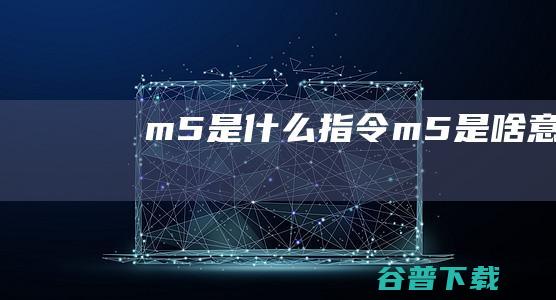 m5是什么指令 (m5是啥意思)