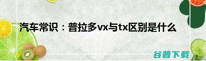 普拉多vx与tx区别 (普拉多VX与TX的区别)