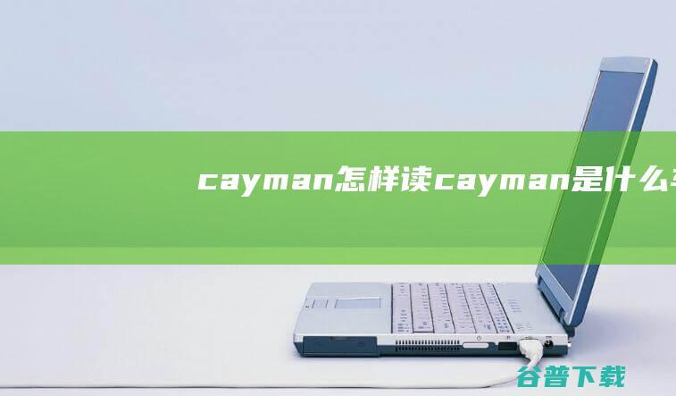 cayman怎样读 (cayman是什么车)