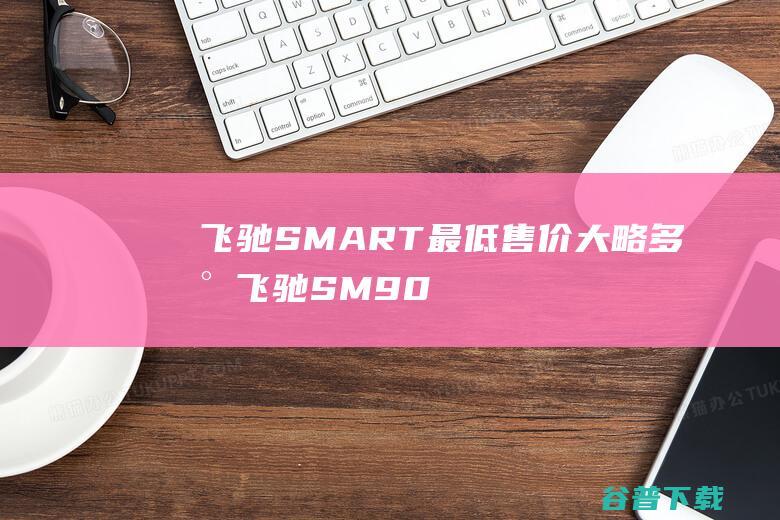 飞驰SMART最低售价大略多少 (飞驰SM902)