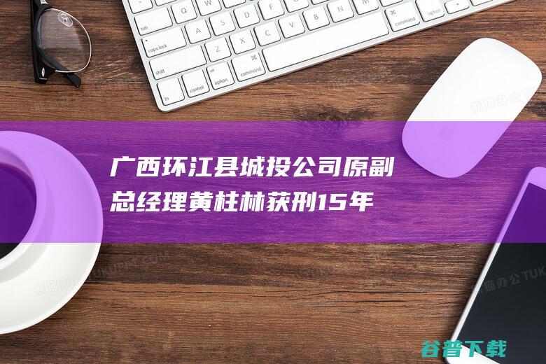 广西环江县城投公司原副总经理黄柱林获刑15年 行贿2696.6万元 (广西环江县城市规划图)