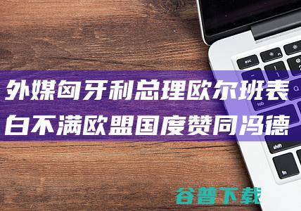 外媒 匈牙利总理欧尔班表白不满 欧盟国度赞同冯德莱恩连任 (匈牙利 名单)