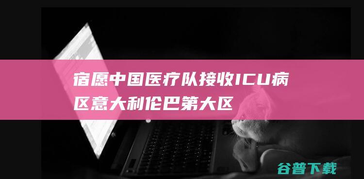 宿愿中国医疗队接收ICU病区 意大利伦巴第大区卫生官员