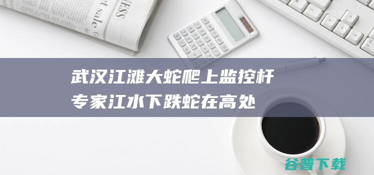 武汉江滩大蛇爬上监控杆！专家 江水下跌 蛇在高处避水属应激反响 (武汉江滩大蛇事件)