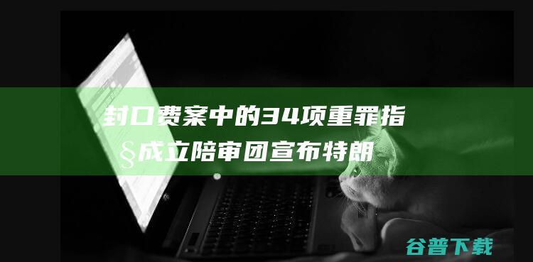 封口费案中的34项重罪指控成立陪审团宣布特朗