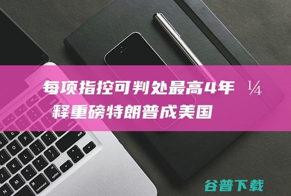 每项指控可判处最高4年开释 重磅！特朗普成美国史上首位被判有罪的前总统！34项重罪指控成立 (对指控的罪名有异议如何辩护)